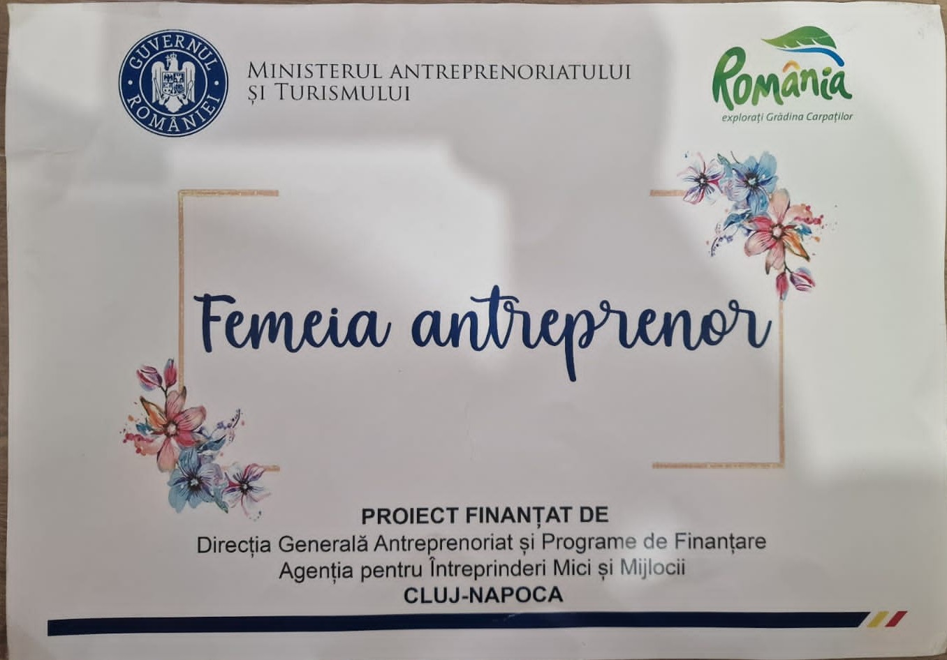 Femeia Antreprenor
